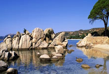 九游体育APP下载-巴萨一路高歌，欧冠冠军谁与争锋的简单介绍