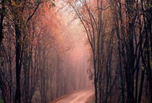 九游体育官方入口-皇马逆转瓦伦西亚｜孔蒂绝境逆转，足球奇迹的背后故事