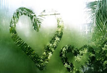 九游中国-澳大利亚网球队险胜世界强队，西西帕斯引领风潮，网球盛事再掀高潮